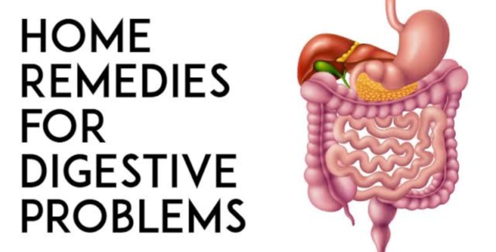 Digestive-system.jpg