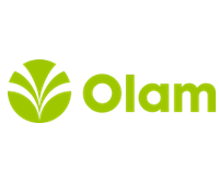 olam-1.png