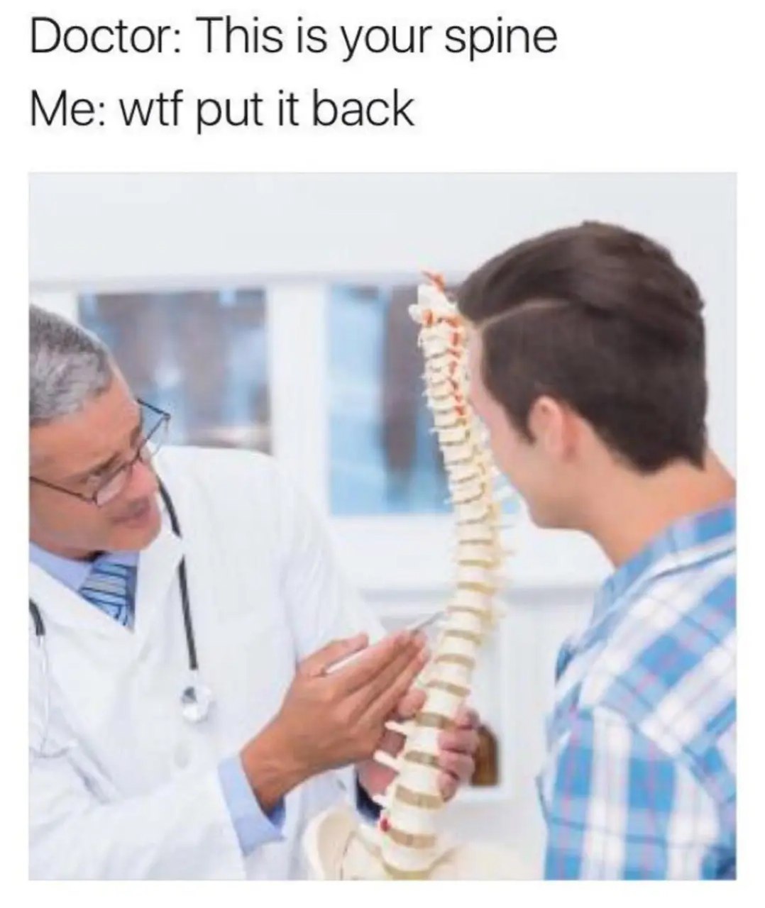 Spine.jpg