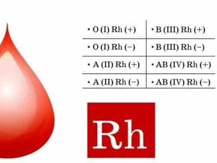 B-negative-blood.jpg